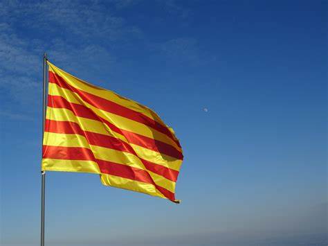 Le Catalan déclaré illégal dans les conseils municipaux