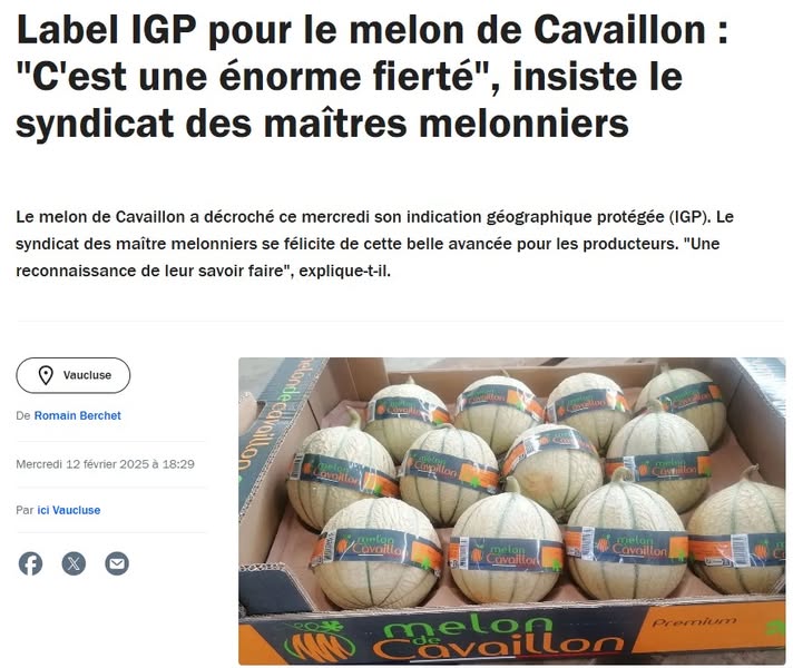 (84) LABEL IGP pour le melon de Cavaillon