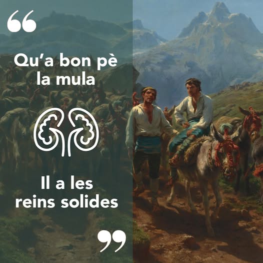 Lo provèrbi de la setmana. Le proverbe de la semaine.