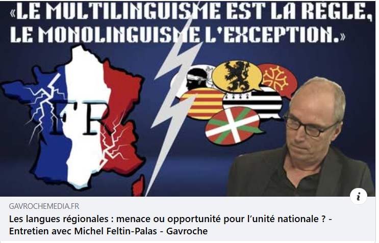 Les langues régionales et l’unité nationale pour Michel Feltin-Palas .