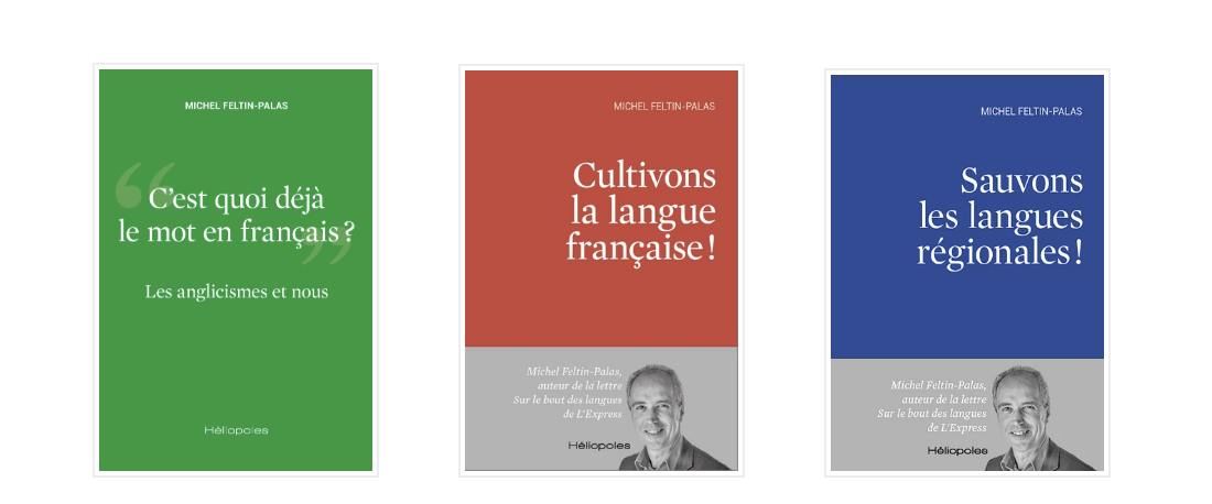 Anglicismes, langues régionales et diversité culturelle