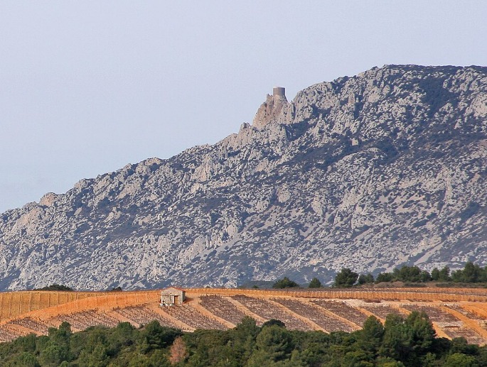 CHATEAU CATHARE ET CATALAN