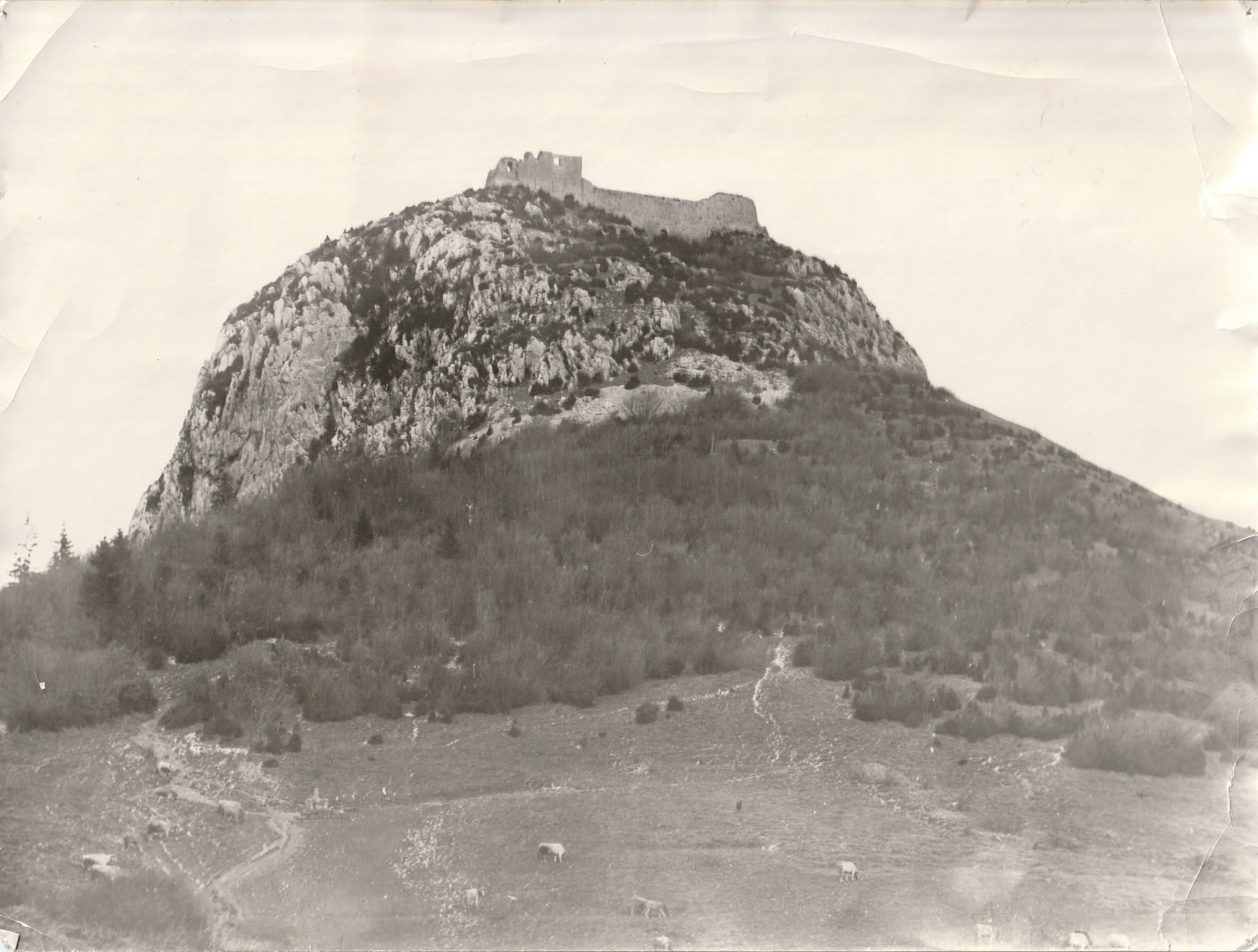 Rien ne nous reste des cathares…