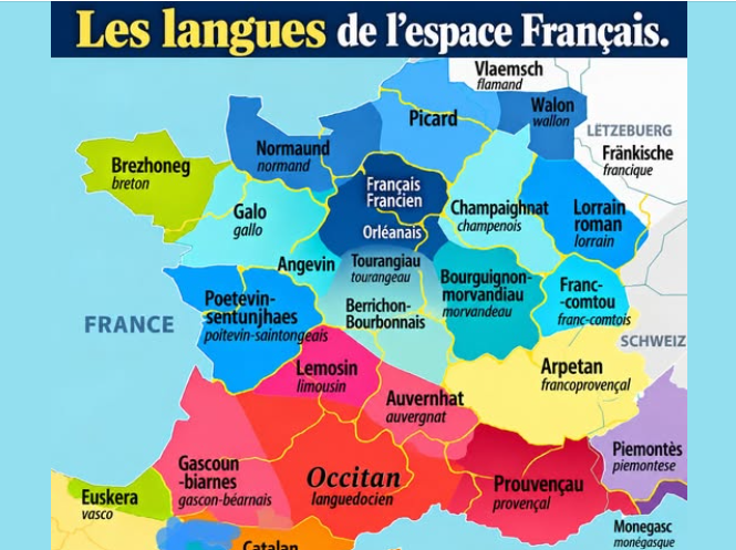 Le provençal et le niçois sont des langues romanes de la famille d&rsquo;oc.